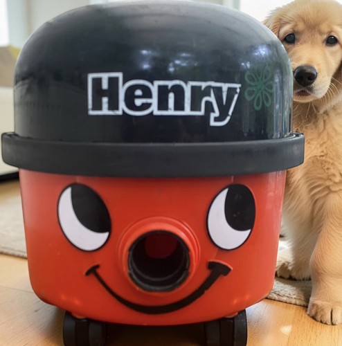 Henry hoover vac - vac, kit